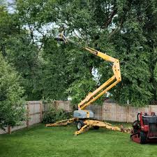 Best Seasonal Cleanup (Spring/Fall)  in Winnie, TX